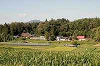 千厩の茅葺き民家