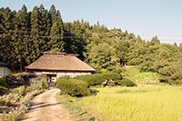 藤沢の茅葺き民家