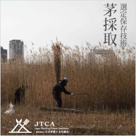 選定保存技術「茅採取」